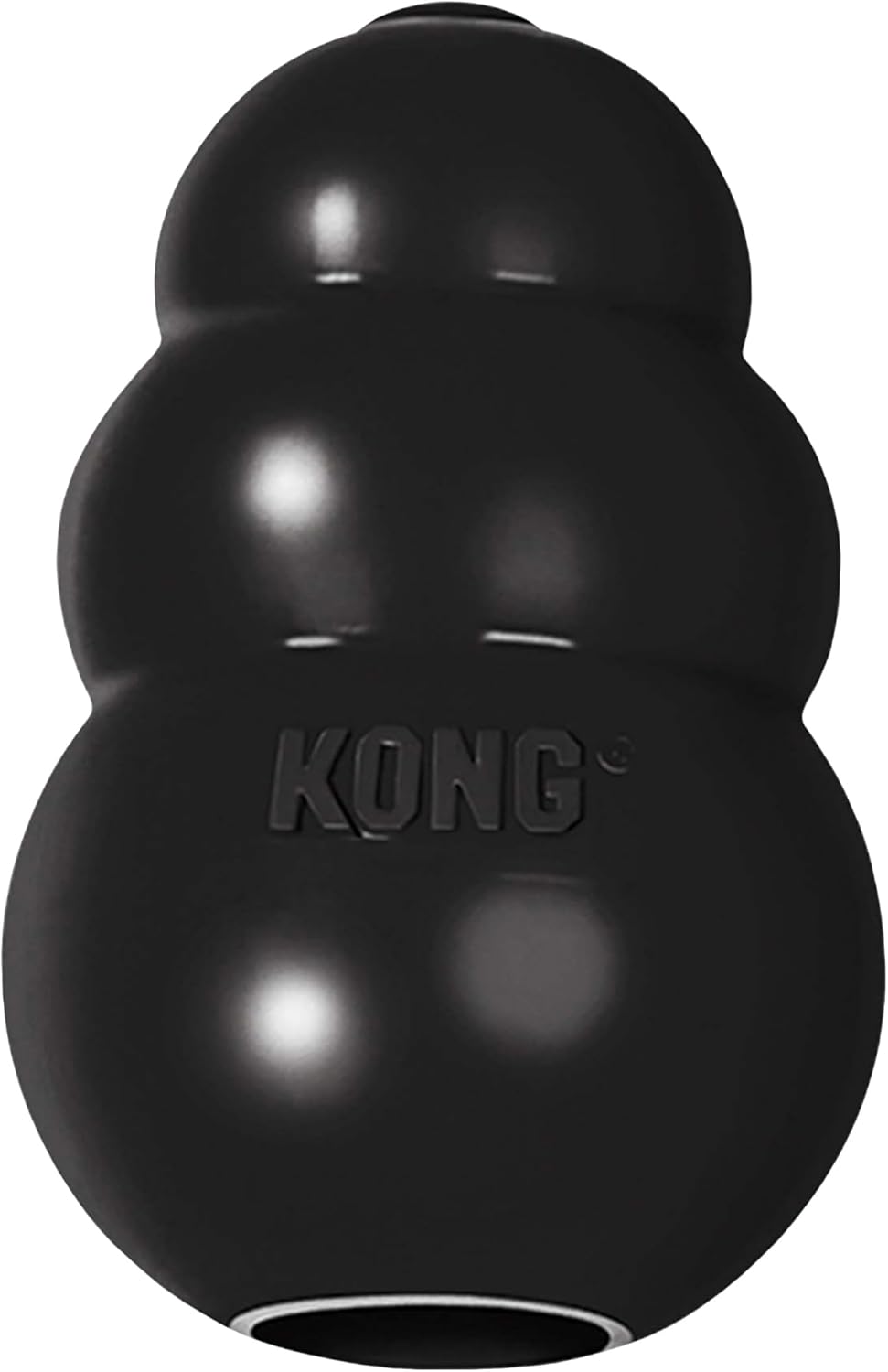 KONG Extreme Black Dog Toy